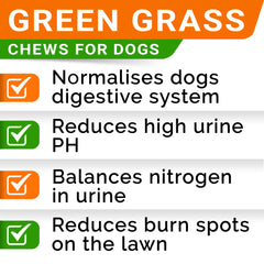 STRELLALAB Green Grass Chews laid beside a lush lawn, protecting it from urine burns.