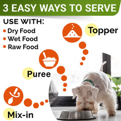STRELLALAB pumpkin for dogs serving dish indicates simple serving