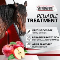 StrideGuard paste applied to a calm horse for stress-free treatment.