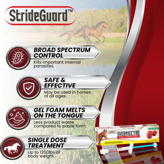 StrideGuard horse undergoing treatment with palatable paste.