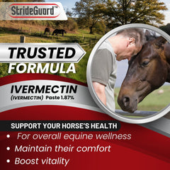 StrideGuard ivermectin paste syringe showing precise dosage.