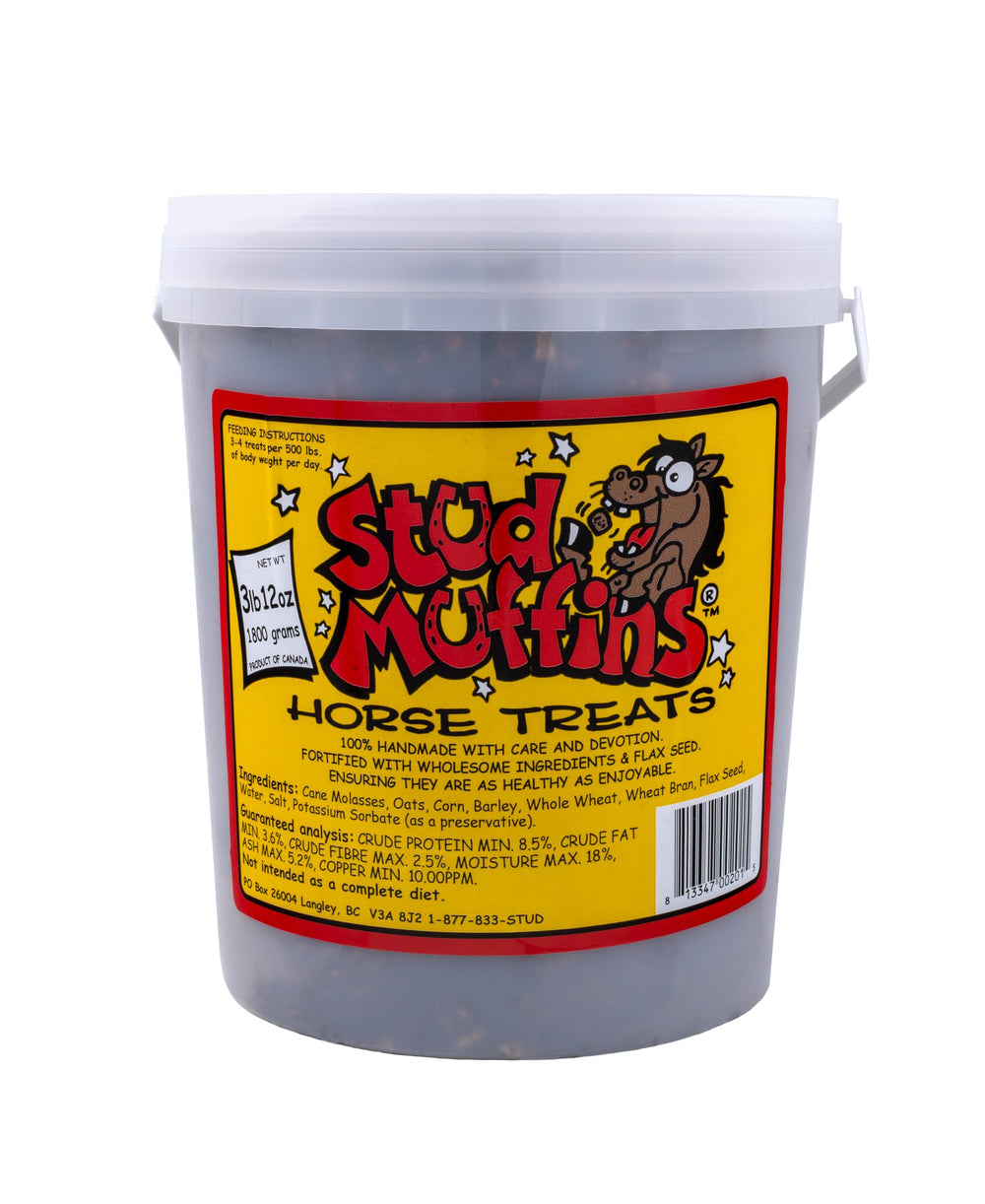 Stud Muffins 60oz bucket front view, bulk horse treats for training.