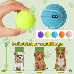 StyEdEk 2-inch dog ball is perfect for small and medium dogs fetch sessions.