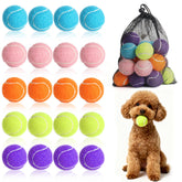 StyEdEk 20-pack dog tennis balls offer bright visibility for fetch and play.
