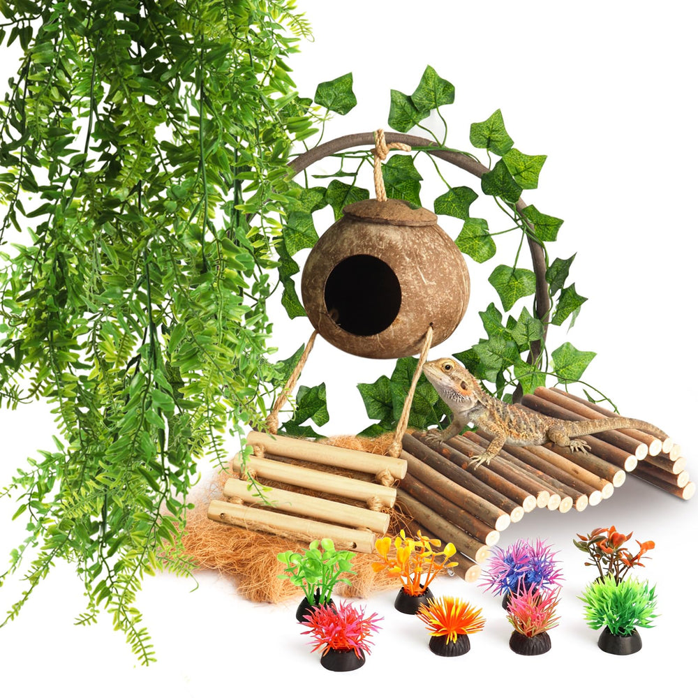 StyEdEk coconut hut offers a cozy retreat for reptiles in terrariums.