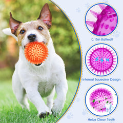 Suilung spikey dog balls in six bright colors for outdoor visibility.