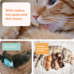 Suitical Recovery Suit cat tailored-comfort supports natural movement after surgery.