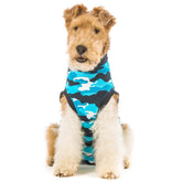 Suitical Recovery Suit for dogs, front view, full coverage for wounds