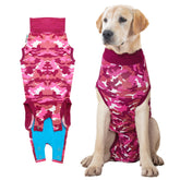 Suitical Recovery Suit for dogs protects wounds and bandages after surgery.