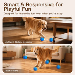 SUJF Interactive Dog Ball with obstacle avoidance supports safe autonomous play