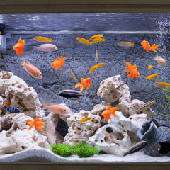 Sumind center of gravity design keeps goldfish afloat in water