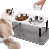 Summark elevated cat bowls with tilted stand for comfortable dining