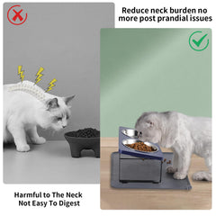 Summark elevated bowls with food mat keeping floors clean during feeding