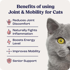 Summit Feline Joint Mobility capsules highlight a natural, drug-free option for daily activity.