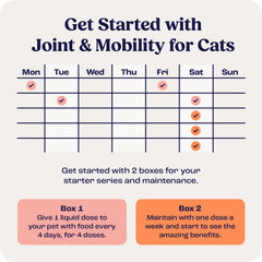 Summit Feline Liposomal Delivery technology depiction emphasizes superior absorption.