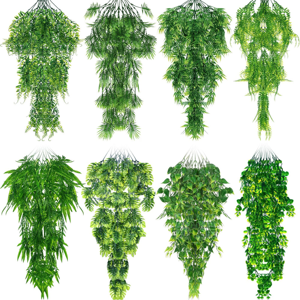 Suncalla 8-pack reptile plants assembled for a vibrant terrarium display