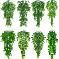 Suncalla 8-pack reptile plants assembled for a vibrant terrarium display