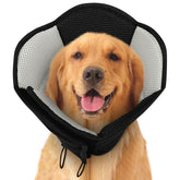 SUNFURA dog cone in breathable mesh offers gentle post-surgery protection.