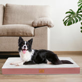 Sunheir orthopedic dog bed with plush Sherpa top for cozy lounging