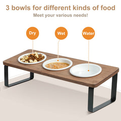 Sunhoo food-grade ceramic bowls for dry and wet food