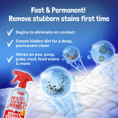 Sunny & Honey enzyme cleaner on upholstery with cinnamon aroma