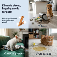 Sunny & Honey bottle beside pet mess on carpet demonstrates multi-surface use