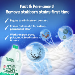 Sunny & Honey multi-surface cleaner tackling couch stains with a safe formula