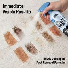 Sunny & Honey Oxy Pet remover on fabric sofa demonstrates deep cleaning without residue.