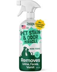 Sunny & Honey stain remover bottle pour for quick carpet treatment