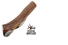 Extra-large dog chew from Superior Antler for powerful chewers