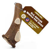 Superior Antler jumbo elk antler for dogs, whole and long-lasting enrichment