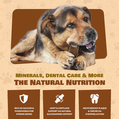 Long-lasting elk chew keeps large dogs engaged for weeks
