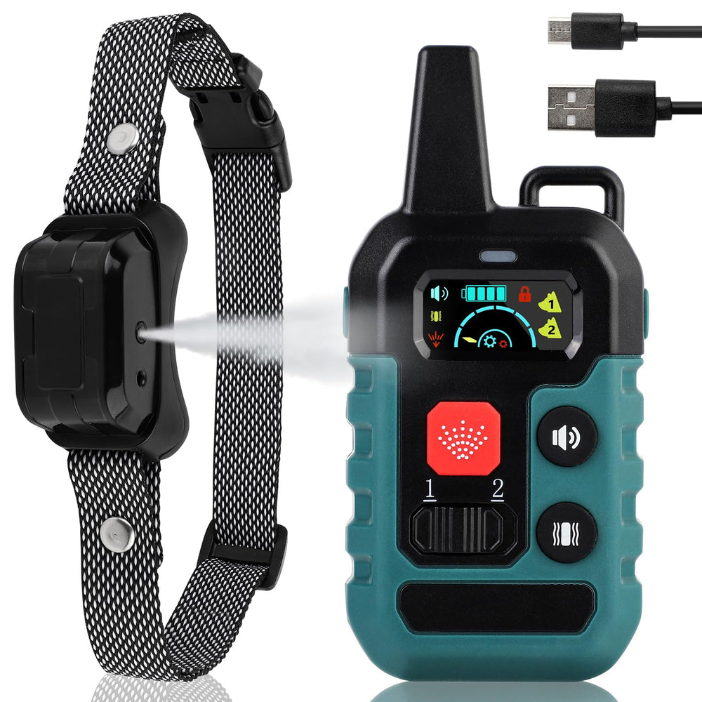 SUPERNIGHT Citronella bark collar on a dog during outdoor training for calmer barking