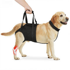 Supet dog sling hind-leg support belt securely lifts large dogs.