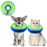 Supet inflatable dog cone collar on a small dog to prevent licking