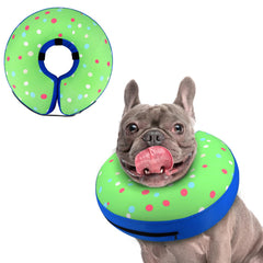 Supet inflatable dog cone donut on a calm dog after surgery, reduces licking.