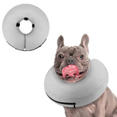 Supet inflatable dog cone in donut shape provides gentle neck support after surgery.