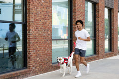 Support Pets heavy-duty nylon leash ensures durability during training and outdoor adventures.