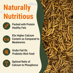Supreme Grubs calcium-dense egg-shell-support image; aids stronger shells for laying hens