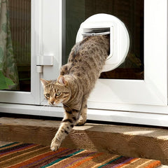 SureFlap microchip scan in action enabling cat access