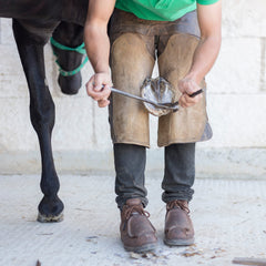 SURGICAL ONLINE hoof tester stainless steel autoclavable for easy, hygienic cleaning between horses.