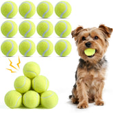 Susu and Wuwu 12-pack squeaky balls for small dogs, durable chew-friendly fetch.