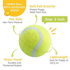 Susu and Wuwu bright-green squeaky ball, ideal for teething and outdoor fetch.