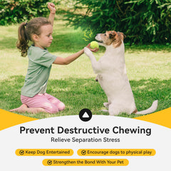 Susu and Wuwu durable rubber squeaky ball built to withstand daily play.