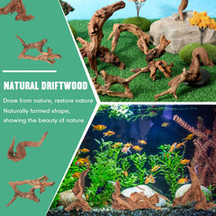 Suzile coral driftwood decor suits fish tanks with diverse layouts and easy placement.