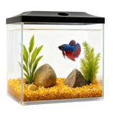 SW PRODUCTS 0.8-Gallon Cube Tank front view ideal for desk displays and quick classroom demos.