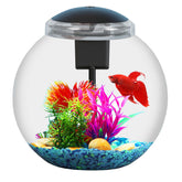 SW PRODUCTS 3-Gallon Aquarium Kit on a desk for compact space use