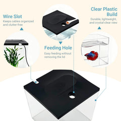 SW PRODUCTS educational starter tank scene highlights kid-friendly learning in classrooms.
