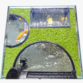 Switior floating plant corral installed in an aquarium, protecting plants from filtration flow.