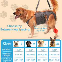 Senior dog rehabilitation harness from SyFatWeen aids balance and independence